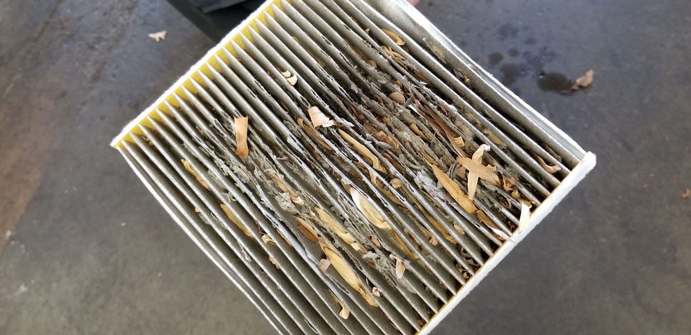 Cabin Filter